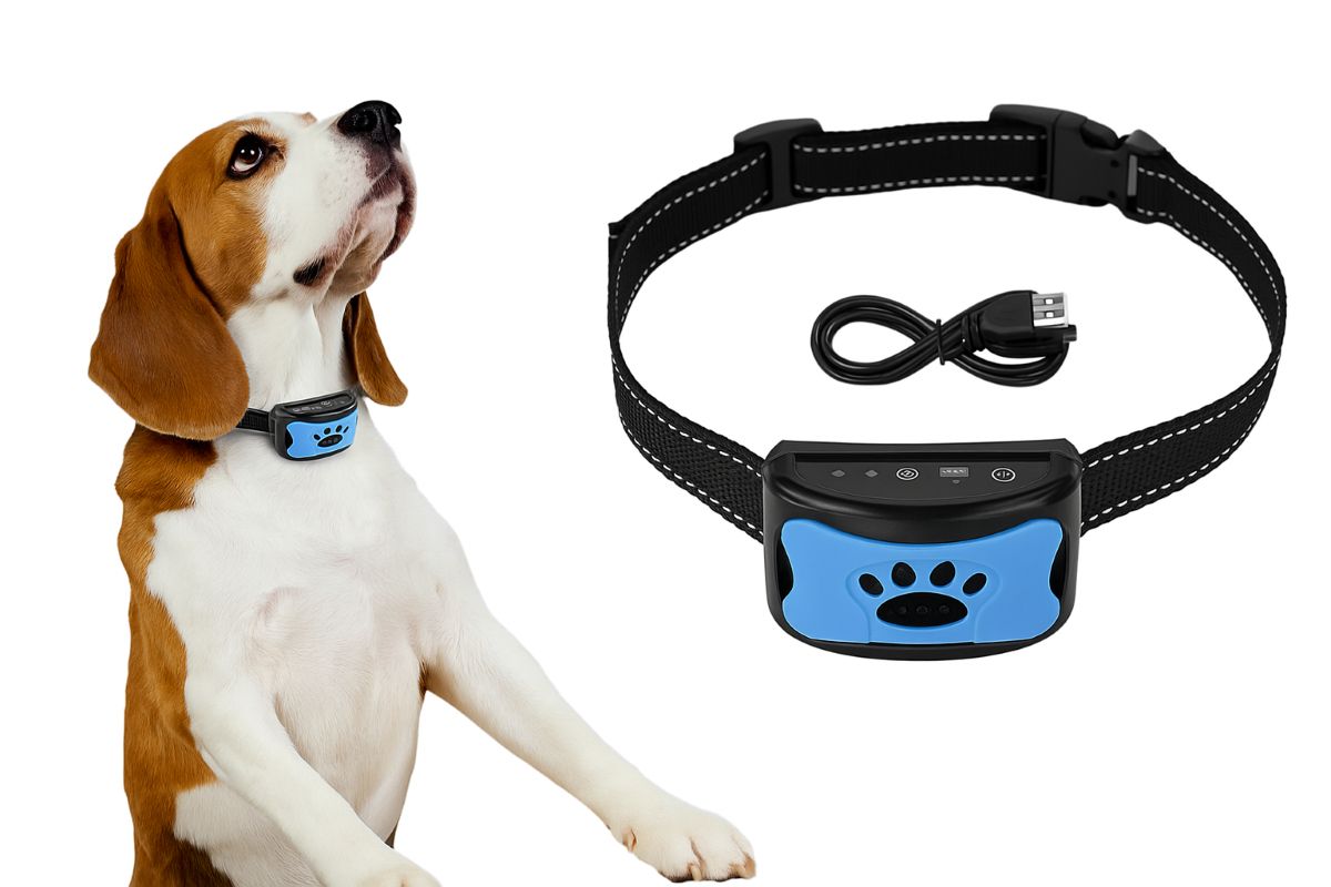 Coleira antilatido: funciona mesmo?